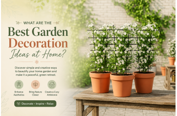 What Are the Best Garden Decoration Ideas at Home? What Are the Best Garden Decoration Ideas at Home?