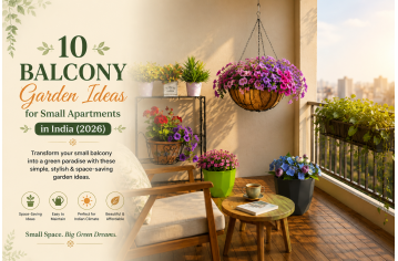 10 Balcony Garden Ideas for Small Apartments in India (2026) 10 Balcony Garden Ideas for Small Apartments in India (2026)