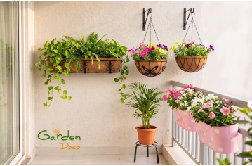 7 Vertical Garden Ideas for Small Balconies in India(2026 Guide) 7 Vertical Garden Ideas for Small Balconies in India(2026 Guide)