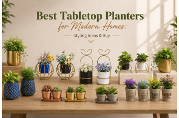 Best Tabletop Planters for Modern Homes: Styling Ideas & Buy Best Tabletop Planters for Modern Homes: Styling Ideas & Buy