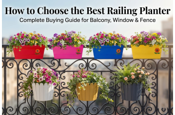 How to Choose the Best Railing Planter: Complete Buying Guide fo How to Choose the Best Railing Planter: Complete Buying Guide fo